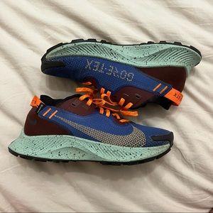 Nike Pegasus Trail 2 GTX